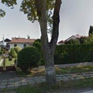 obrazek: avatar SBOR CÍRKVE ADVENTISTŮ SEDMÉHO DNE Horní Cerekev