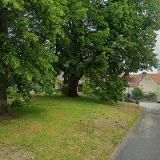 ŘÍMSKOKATOLICKÁ FARNOST Chotoviny