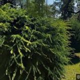 FARNÍ SBOR ČESKOBRATRSKÉ CÍRKVE EVANGELICKÉ V JINDŘICHOVĚ HRADCI