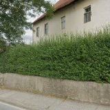 ŘÍMSKOKATOLICKÁ FARNOST Římov