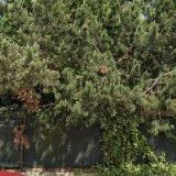 OBEC Staré Hodějovice