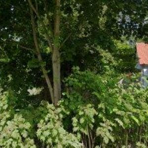 obrazek: avatar OBEC Slapsko