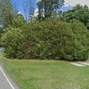 obrazek: avatar OBEC Balkova Lhota