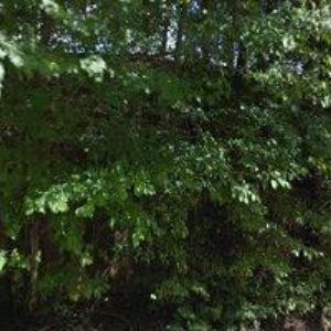 obrazek: avatar OBEC Kundratice