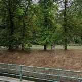 STUDIO POHYBU ČESKÉ BUDĚJOVICE