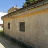 TJ SOKOL Suchdol nad Lužnicí