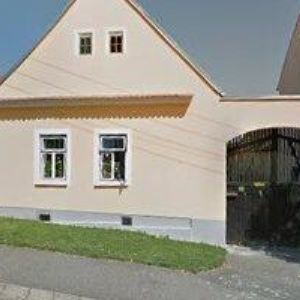 obrazek: avatar TJ SOKOL Volenice