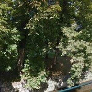 obrazek: avatar INTESSAR