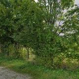 TENISOVÝ KLUB VODŇANY