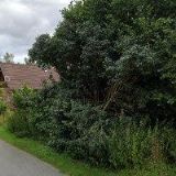 JACHETNÍ KLUB ČERNÁ V POŠUMAVÍ