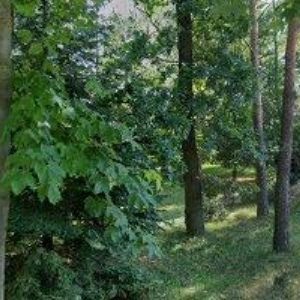 obrazek: avatar SK NEPOSEDA TÁBOR