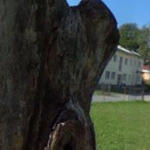 obrazek: avatar TJ Blatná