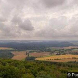obrazek: avatar TJ SPARTAK Choustník