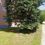 HO LEZCI Z VYSOČINY