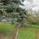 TJ SOKOL Ostrov nad Oslavou