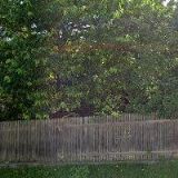 OREL ŽUPA KUBIŠOVA