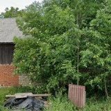 O.S.STINGER CLUB o.s.