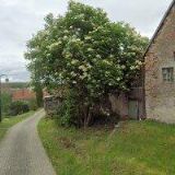 KLUB OFFROADVYSOČINA