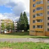 DAVID JOSEF Mgr.-VAŠE GENY