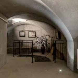 obrazek: avatar WIMMER GALERIE