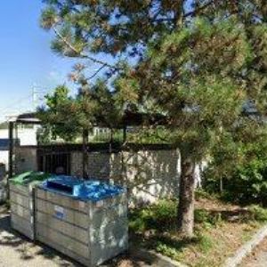 obrazek: avatar LÉKÁRNA MÁJ v.o.s.