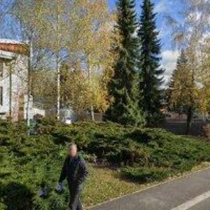 obrazek: avatar VAŠICA PETR MUDr.