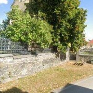 obrazek: avatar STIEBLEROVÁ MARIE MUDr.