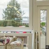 CMUNTOVÁ MILENA MUDr.