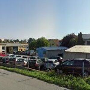 obrazek: avatar TS MED BUSTOVI