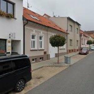 obrazek: avatar PUDÍK PETR MUDr.