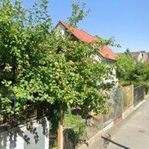 obrazek: avatar JÁNOŠKOVÁ NAĎA MUDr.