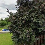 OČKOVACÍ CENTRUM ČESKÝ KRUMLOV