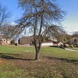 OTCOVSKÁ MICHAELA MUDr.