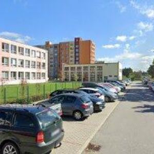 obrazek: avatar TRÁVNÍČKOVÁ RADMILA MUDr.