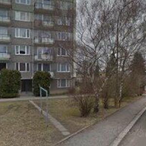 obrazek: avatar SVAZ NESLYŠÍCÍCH A NEDOSLÝCHAVÝCH V ČR-ZÁKLADNÍ ORGANIZACE MILEVSKO