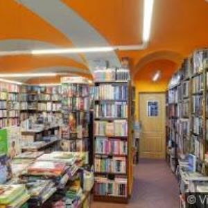 obrazek: avatar GYNFACE , s.r.o.