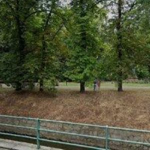 obrazek: avatar BEDLÁNOVÁ DANA