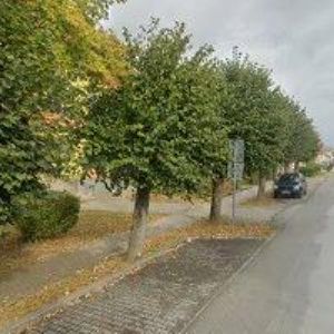 obrazek: avatar JAHODOVÁ MARTINA