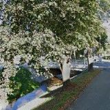 ZDRAVOTNÍ ZAŘÍZENÍ POLIKLINIKA MĚSTA TRHOVÉ SVINY