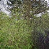 HRDINOVÁ LENKA-REHABILITACE