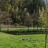 STALMACHOVÁ ANDREA MUDr.