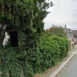 PINKOVÁ DAGMAR MUDr.