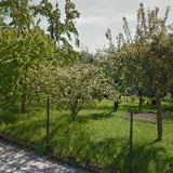 PUMPROVÁ ROMANA MUDr.