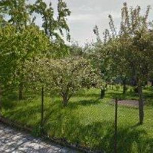 obrazek: avatar PUMPROVÁ ROMANA MUDr.