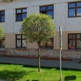 NĚMCEVOVÁ IVANA MUDr.