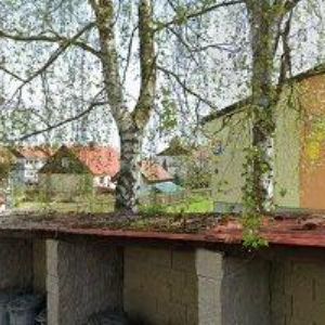 obrazek: avatar MŠ Sedlec