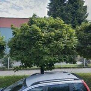 obrazek: avatar MŠ Humpolec