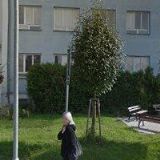 ZUŠ Velké Meziříčí