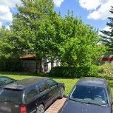 VESELÝ MIROSLAV Mgr.