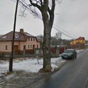 obrazek: avatar PROCHÁZKOVÁ PAVLA